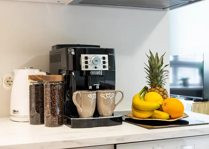 Apartment Stiilne Korter Duo Loftides Tartu